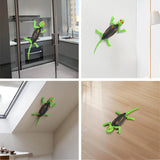 Le gecko dans différentes pièces de la maison